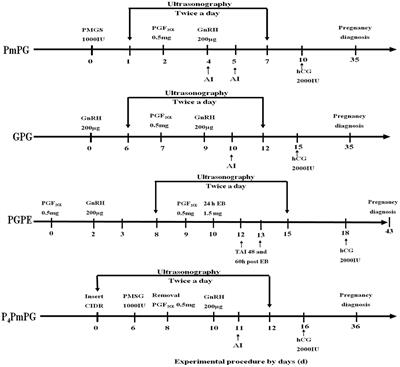 GPGMH, a New Fixed Timed-AI Synchronization Regimen for Swamp and River Crossbred Buffaloes (Bubalus bubalis)